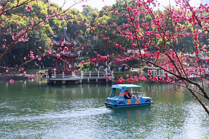 重庆沙坪坝:沙坪公园悠悠六十载 青春正飞扬